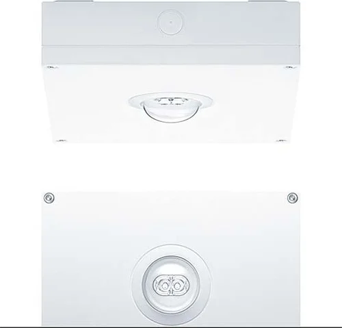 elektrotresen3-665790