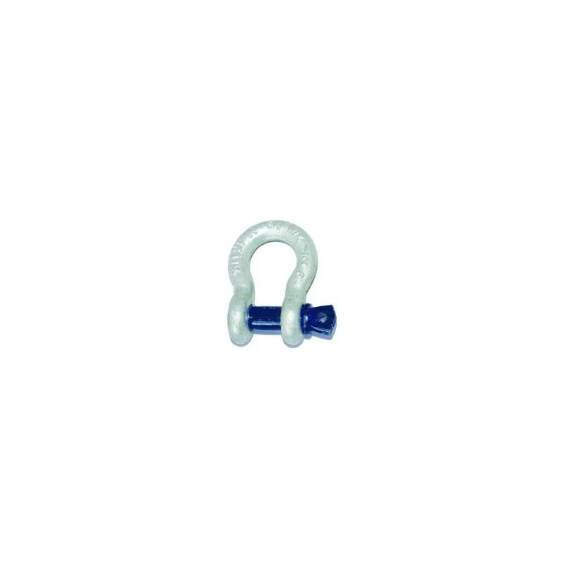 sasseil-28057
