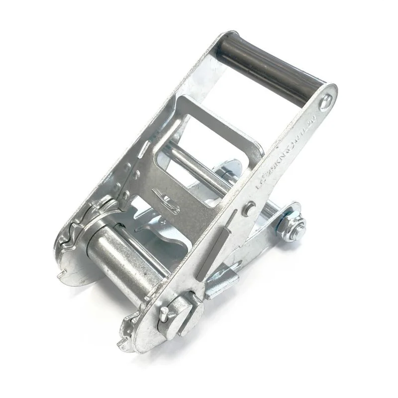 sasseil-30359