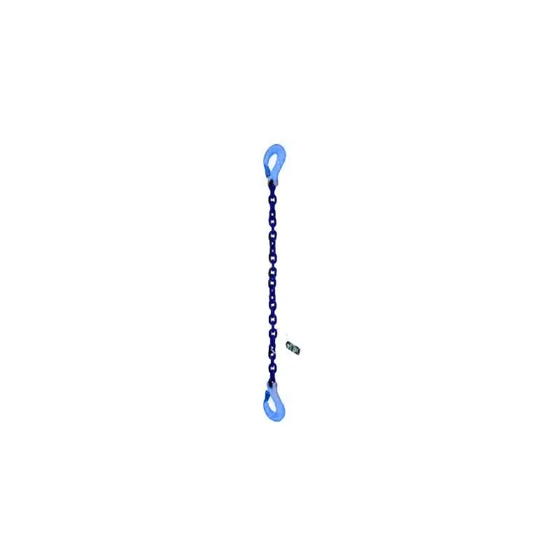 sasseil-33738