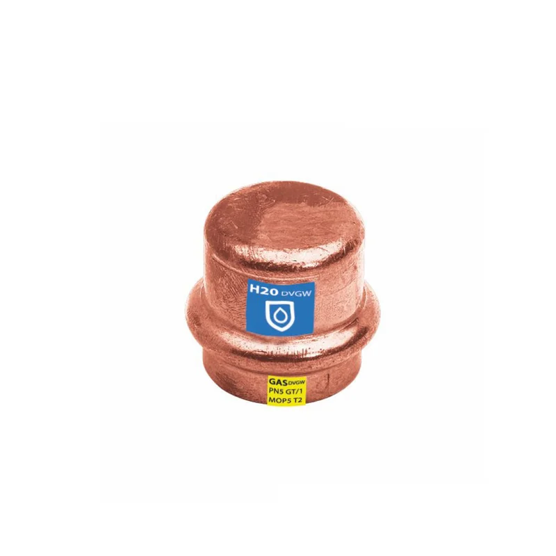shop.doenges-rs1-215148