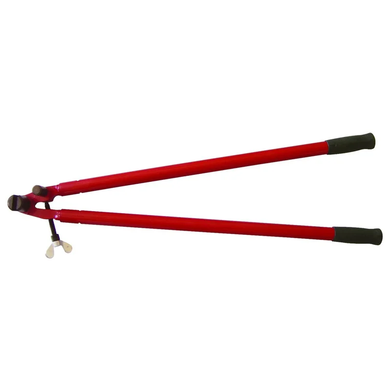 shop.doenges-rs1-215654