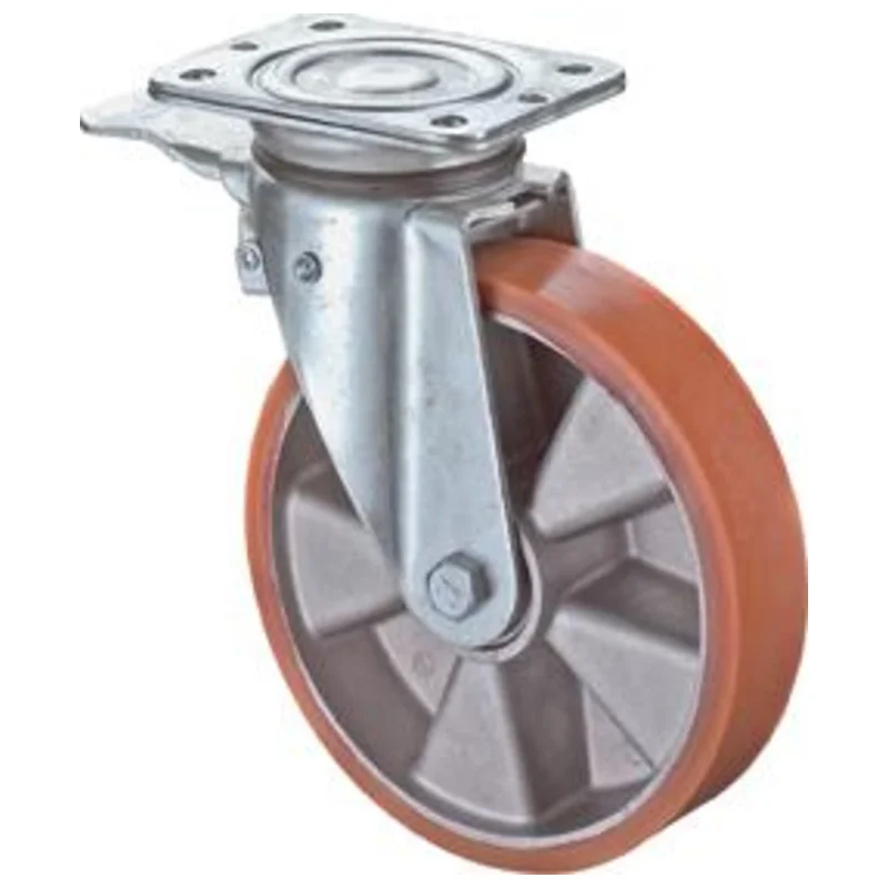 shop.doenges-rs1-241294