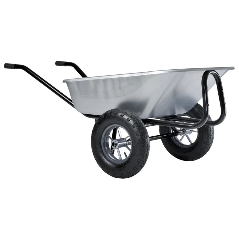 shop.doenges-rs1-266732