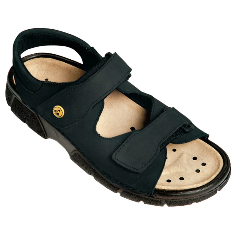shop.doenges-rs1-267278