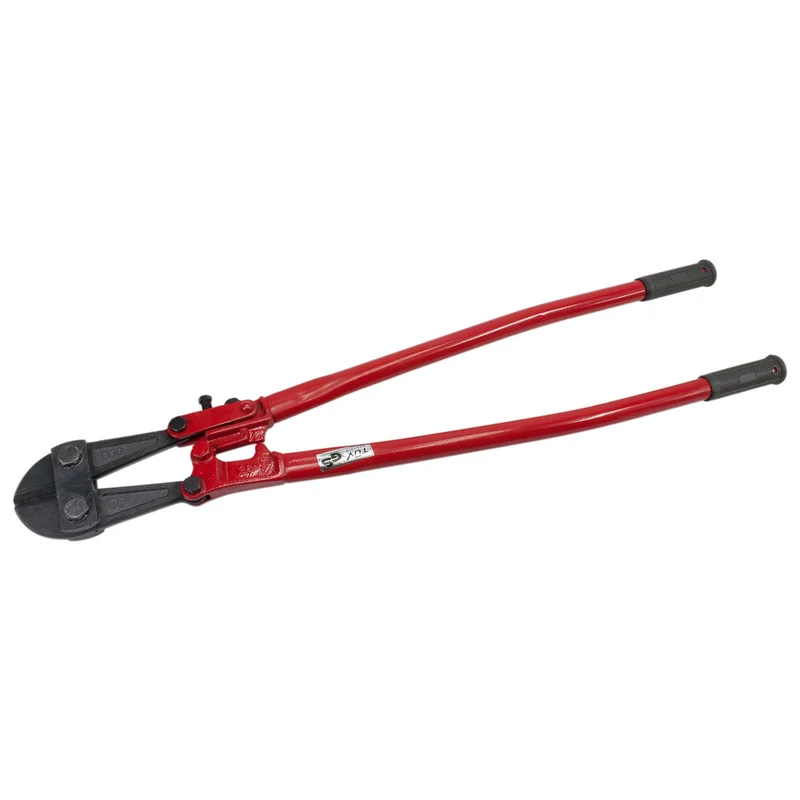shop.doenges-rs1-267997