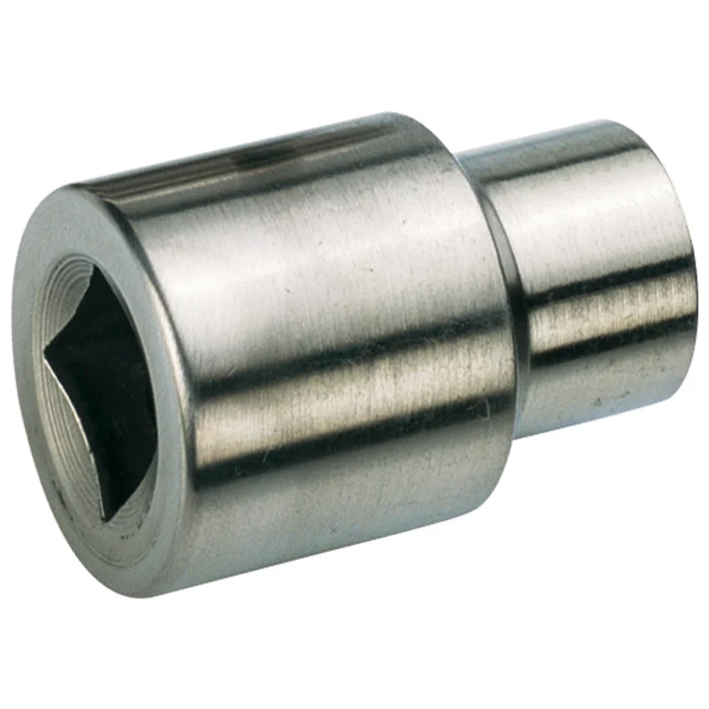 shop.doenges-rs1-271484