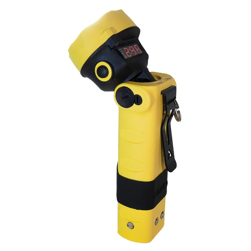 shop.doenges-rs1-276190