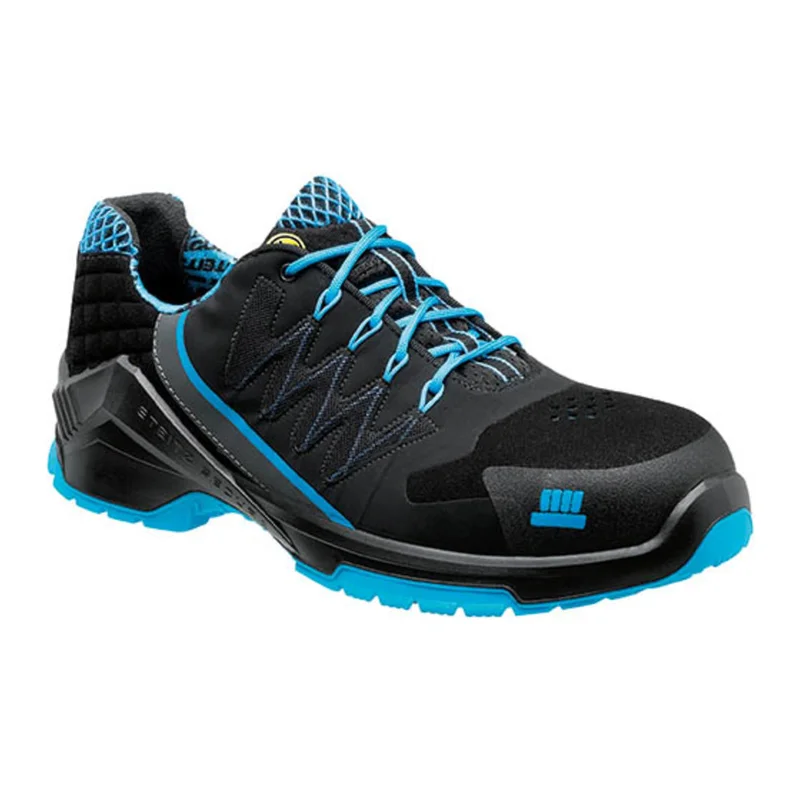 shop.doenges-rs1-278151