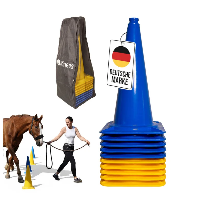 shop.doenges-rs1-279588