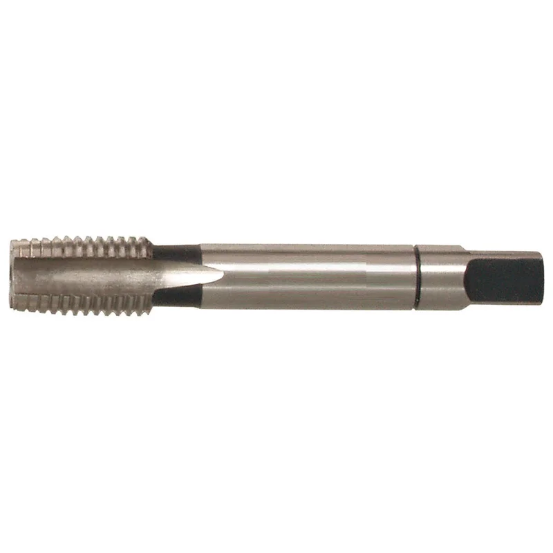 shop.doenges-rs1-286903