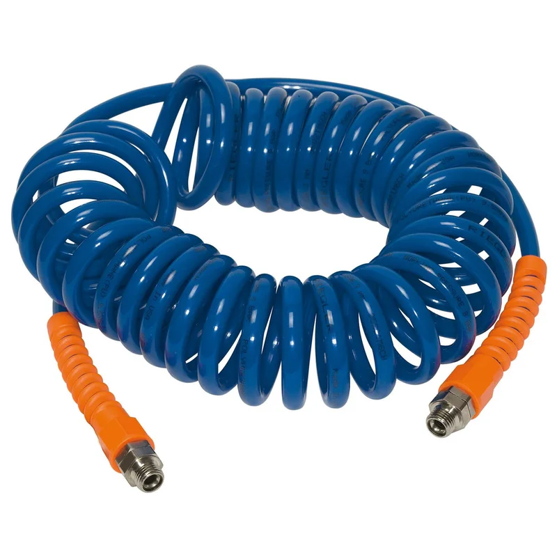 shop.doenges-rs1-287194
