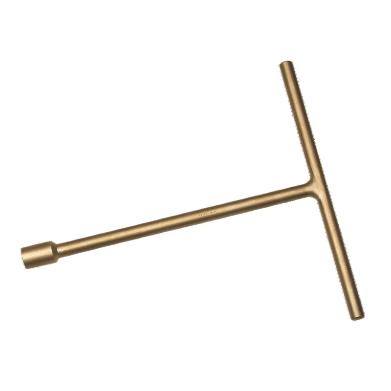 shop.doenges-rs1-287400