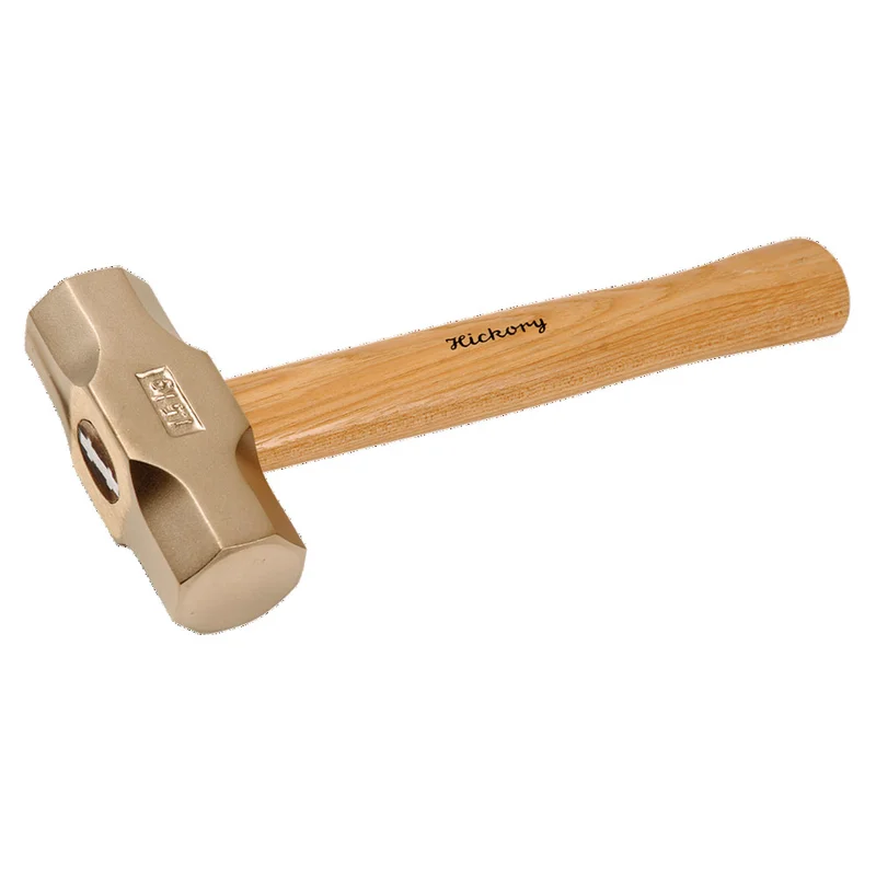 shop.doenges-rs1-287804