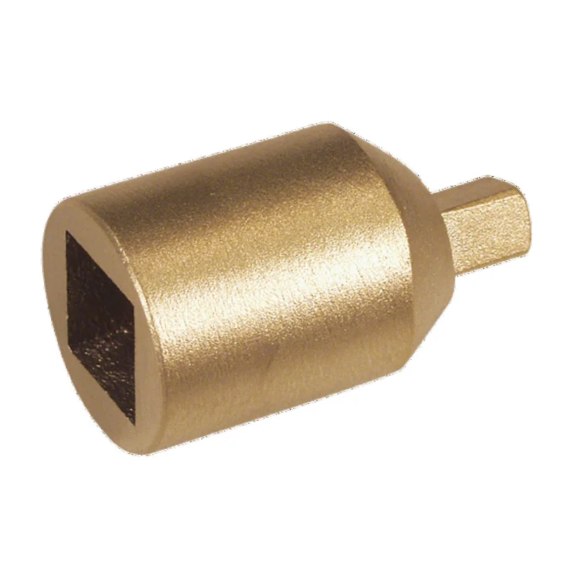 shop.doenges-rs1-290364