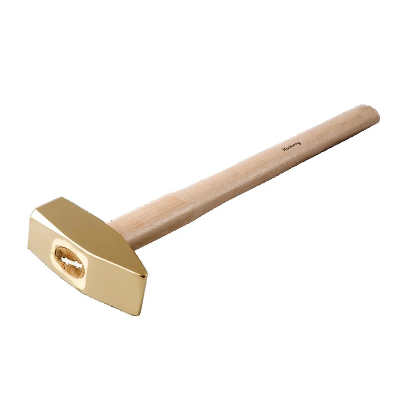 shop.doenges-rs1-290440