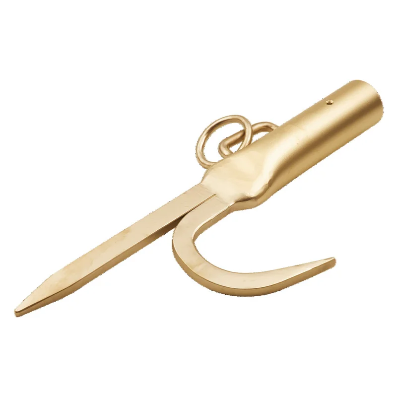 shop.doenges-rs1-290569