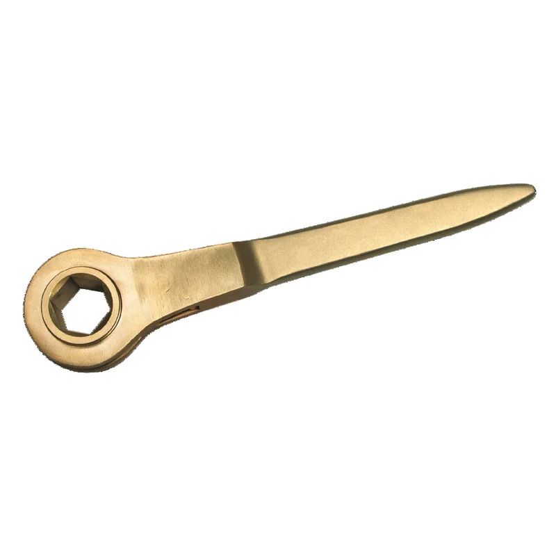 shop.doenges-rs1-290863