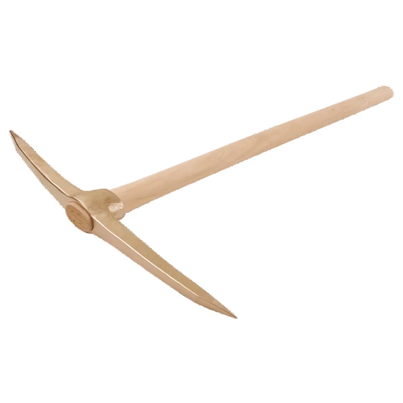 shop.doenges-rs1-291935
