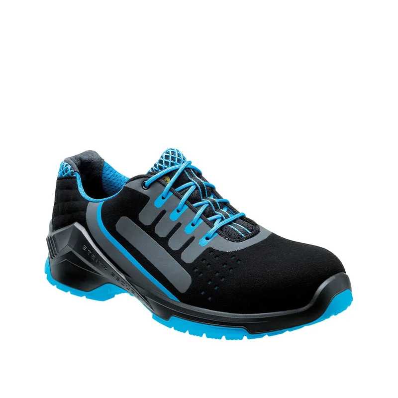 shop.doenges-rs1-294083