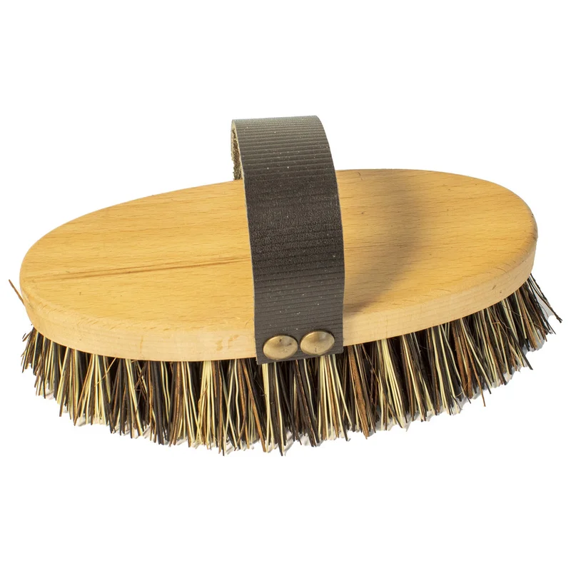 shop.doenges-rs1-297971