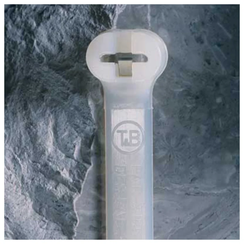 shop.doenges-rs1-384847