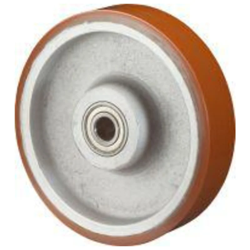 shop.doenges-rs1-387495