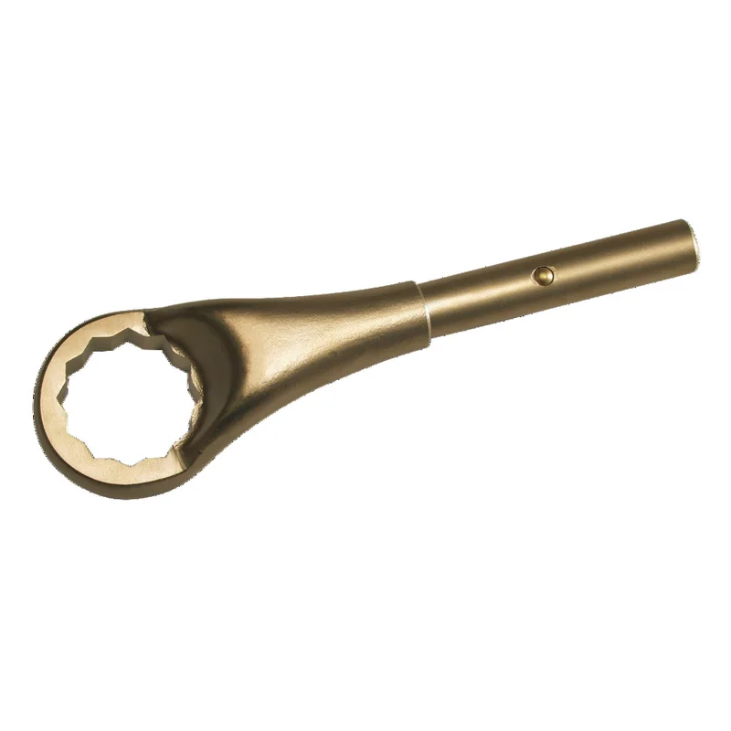 shop.doenges-rs1-390840