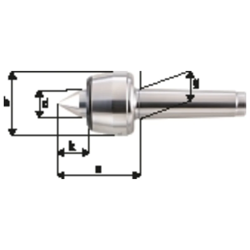 shop.doenges-rs1-393340