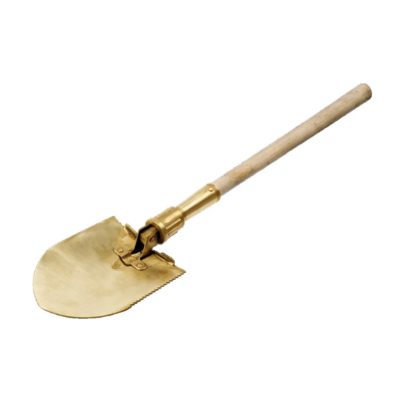 shop.doenges-rs1-393854