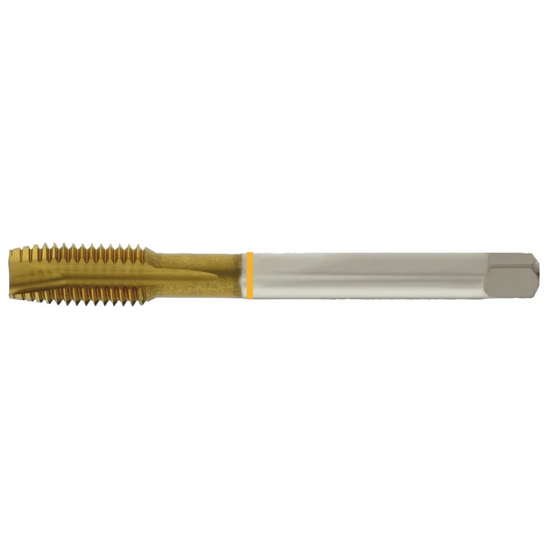 shop.doenges-rs1-394124