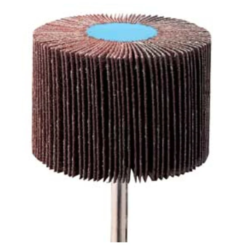 shop.doenges-rs1-400493