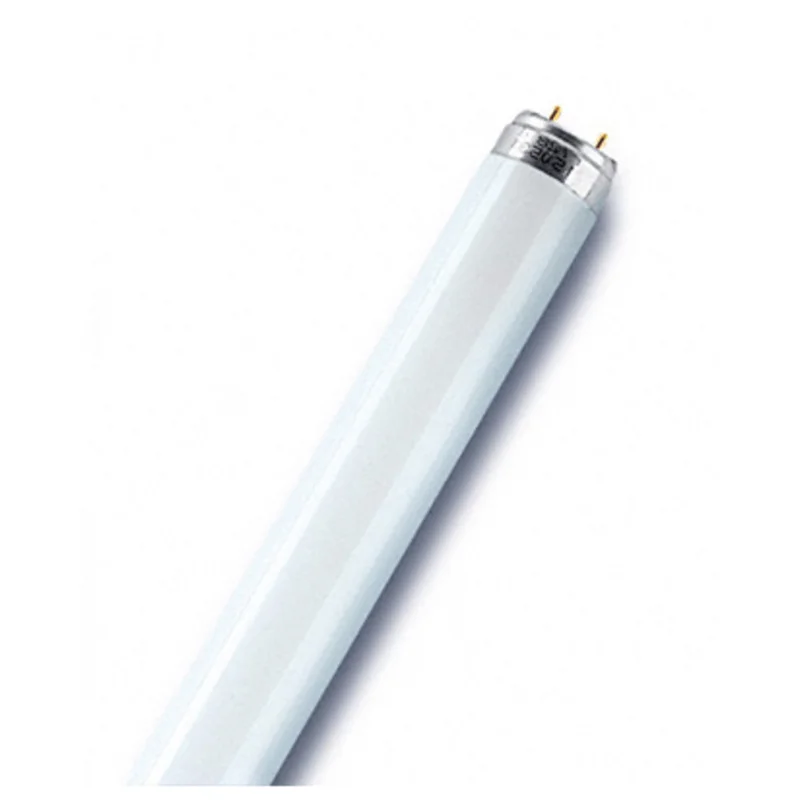 shop.doenges-rs1-406496