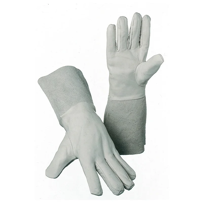 shop.doenges-rs1-408372