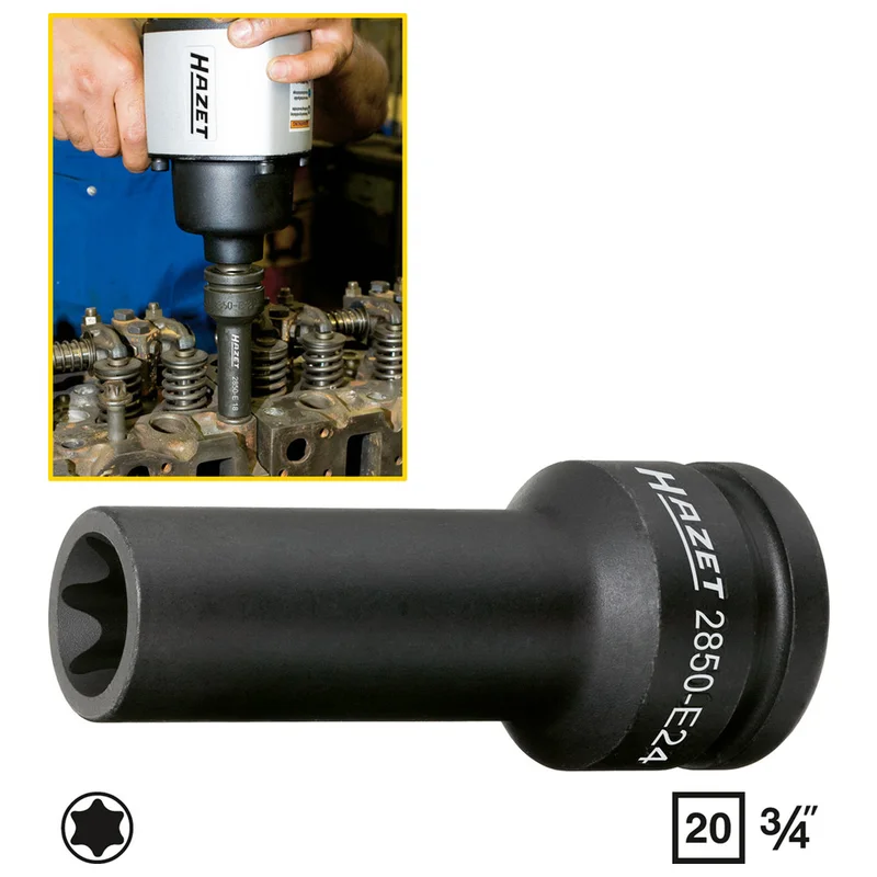 shop.doenges-rs1-417798