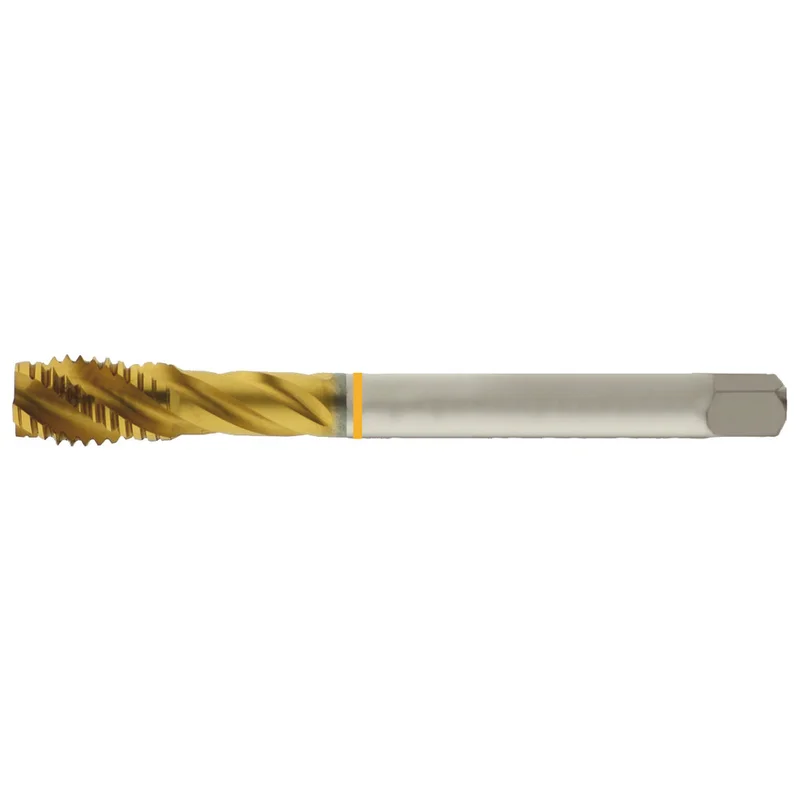 shop.doenges-rs2-167439
