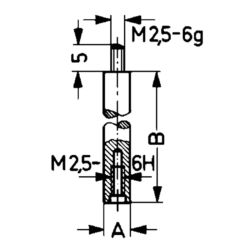 shop.doenges-rs2-175668