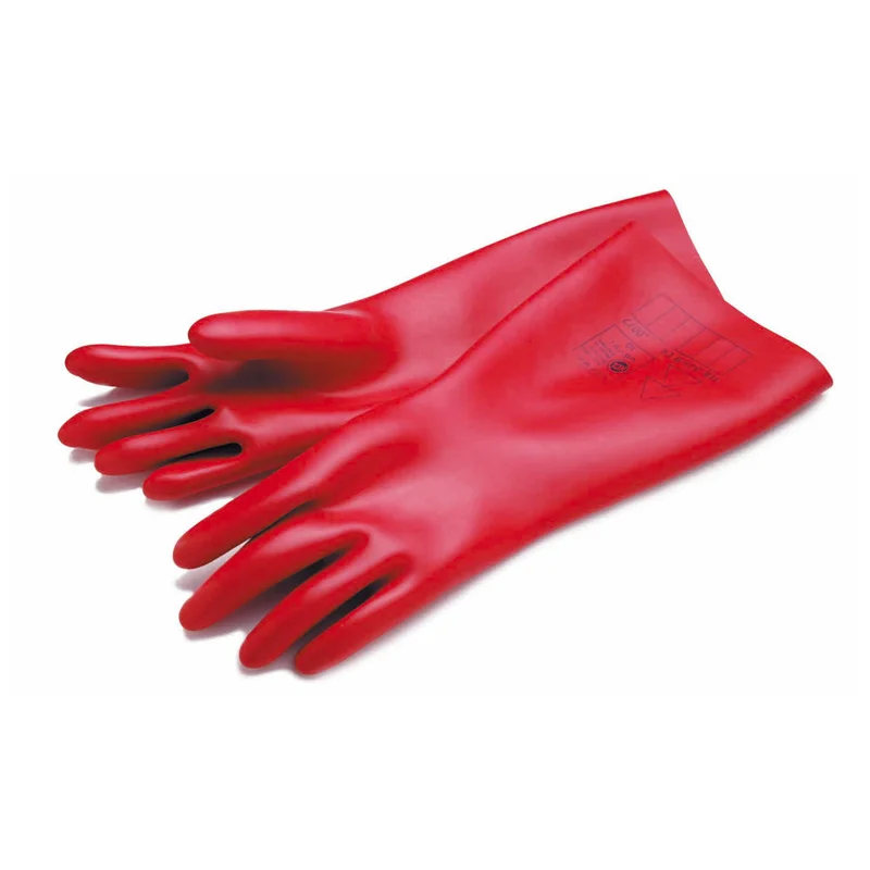 shop.doenges-rs2-216572