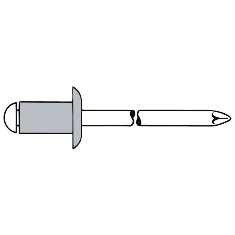 shop.doenges-rs2-216903