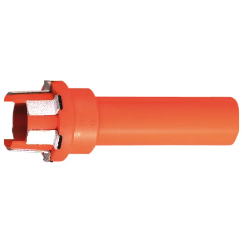 shop.doenges-rs2-220221