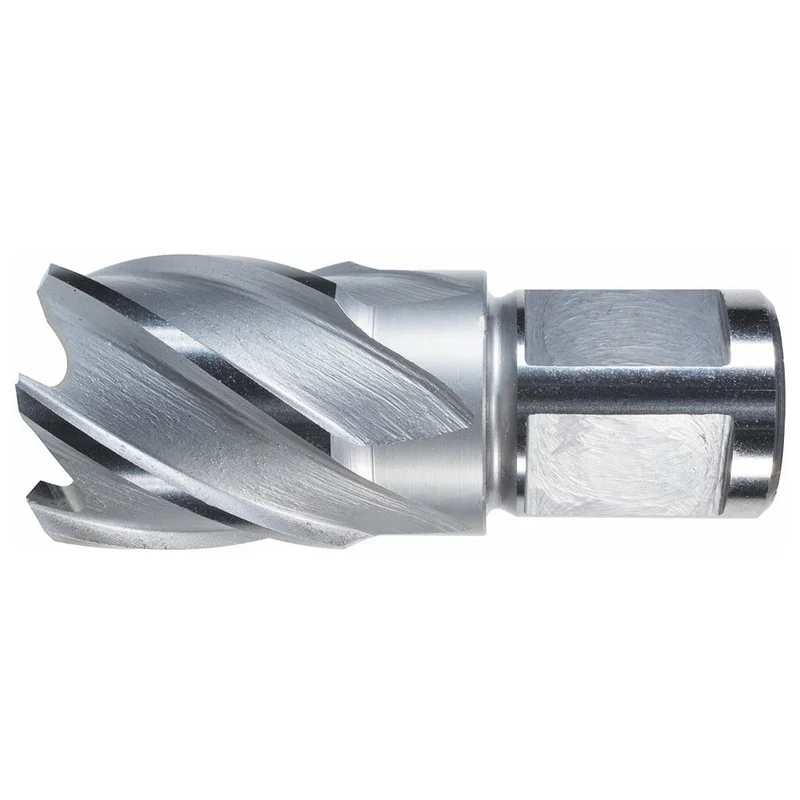 shop.doenges-rs2-235414