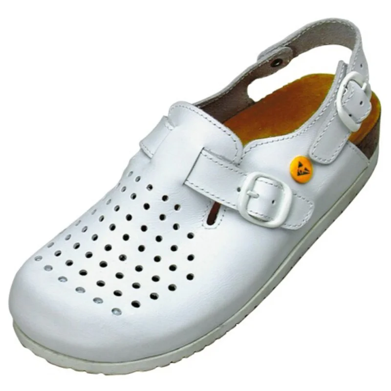 shop.doenges-rs2-243823