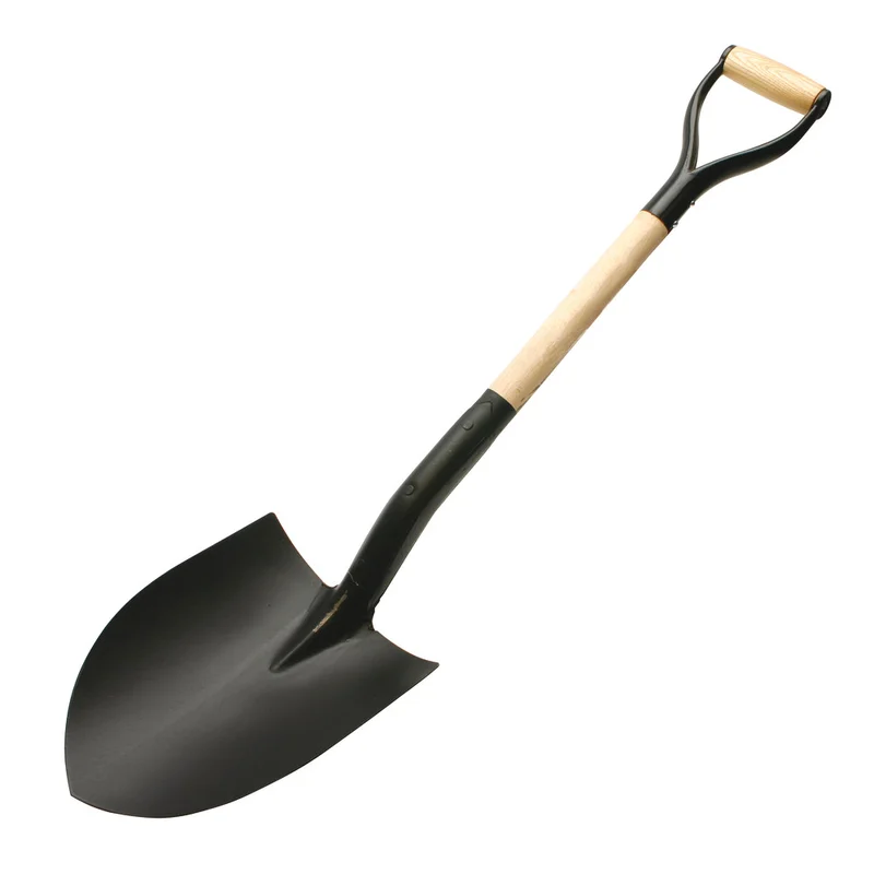 shop.doenges-rs2-254539