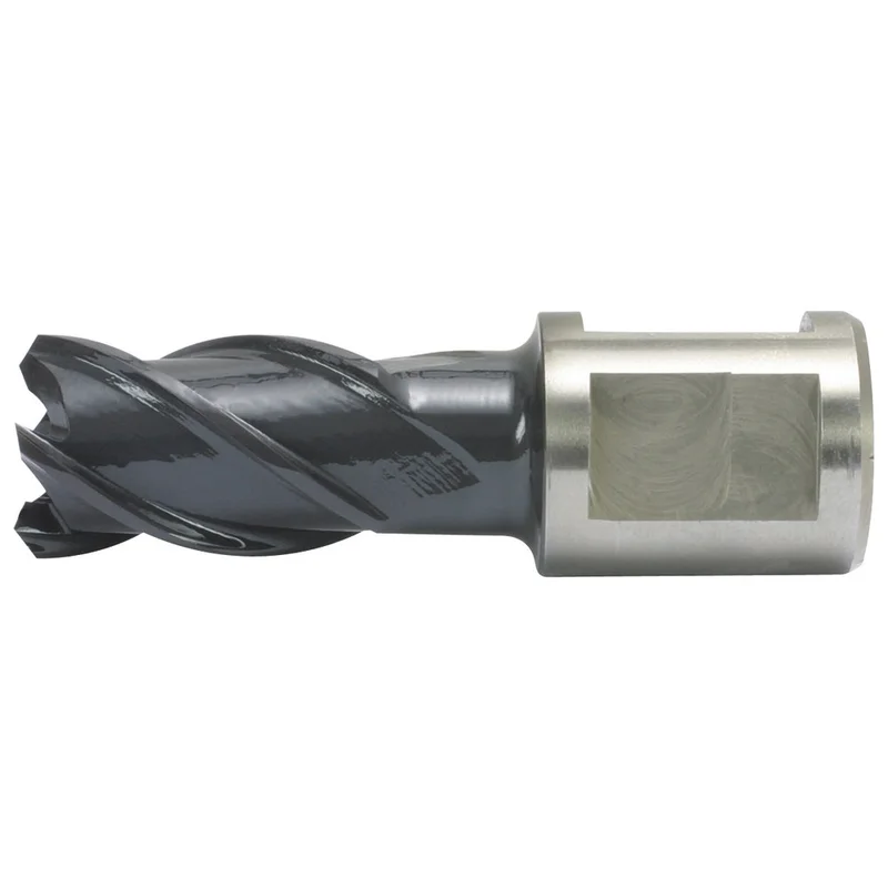 shop.doenges-rs2-258306