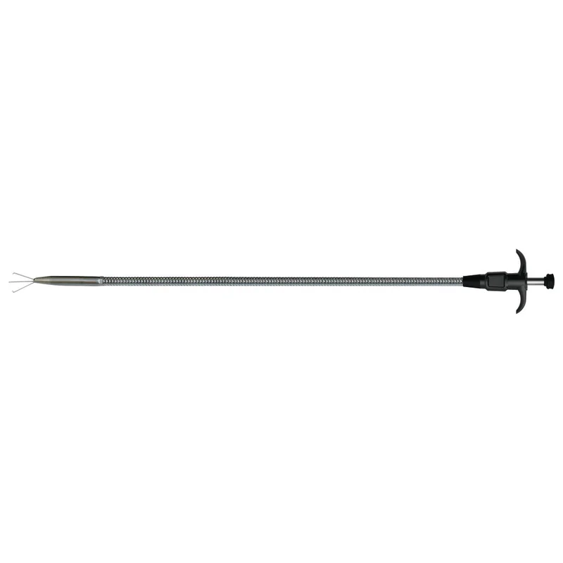 shop.doenges-rs2-264656
