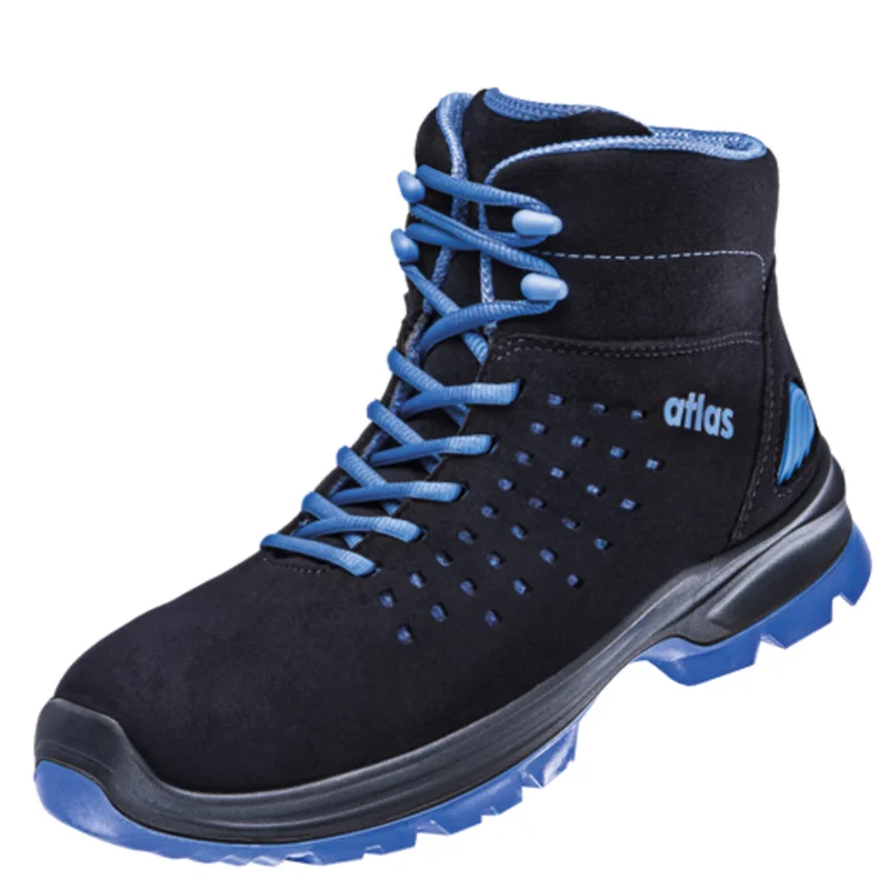 shop.doenges-rs2-269628