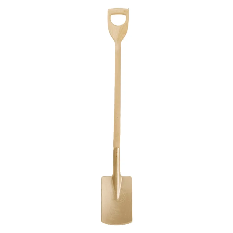 shop.doenges-rs2-270169