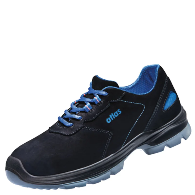shop.doenges-rs2-271501