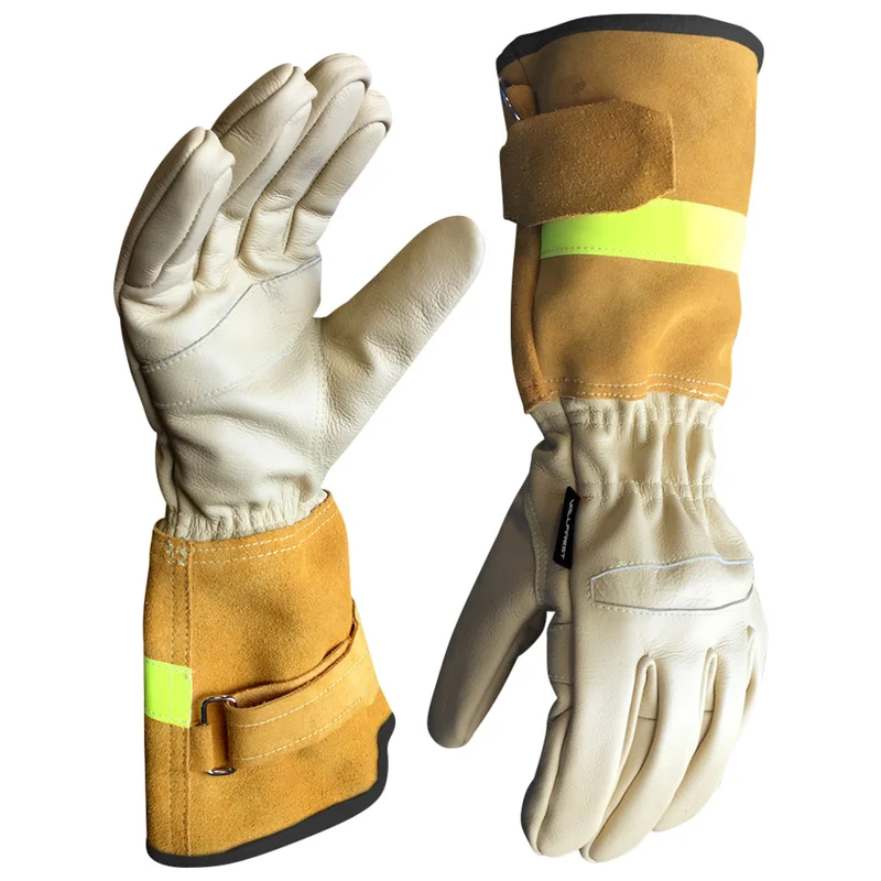 shop.doenges-rs2-277583