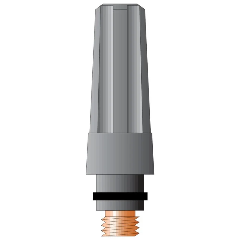 shop.doenges-rs2-278378